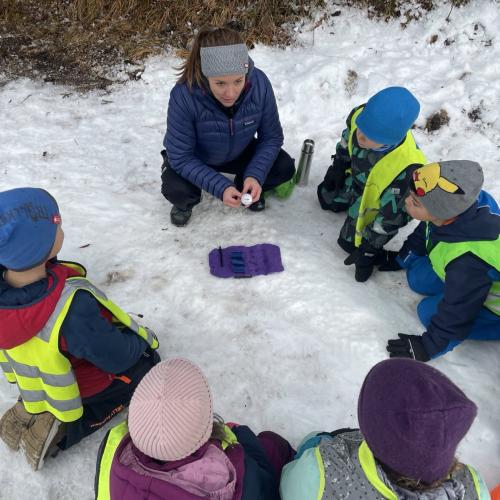 Spuren im Schnee 2025