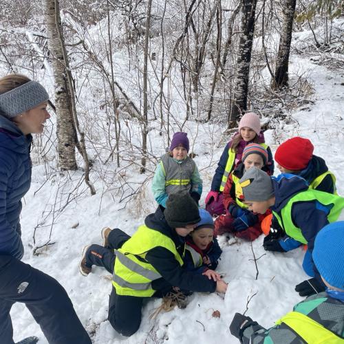 Spuren im Schnee 2025