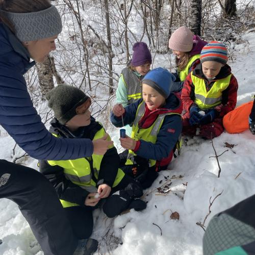 Spuren im Schnee 2025