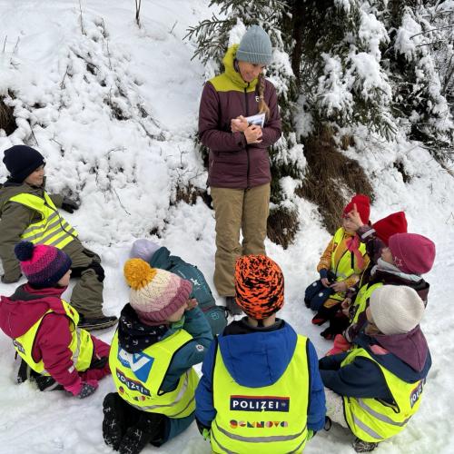 Spuren im Schnee 2025