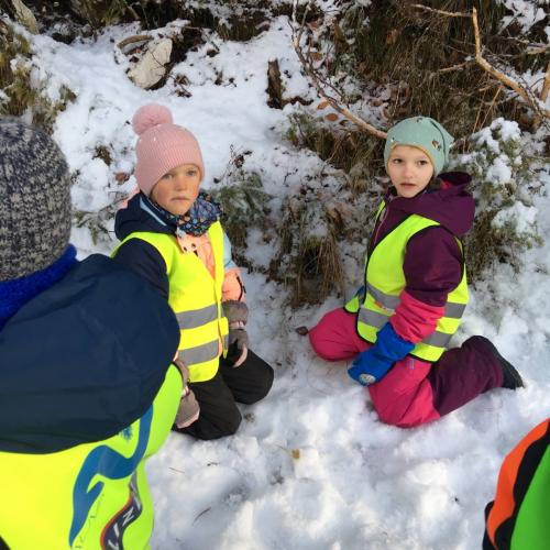 Spuren im Schnee 2025