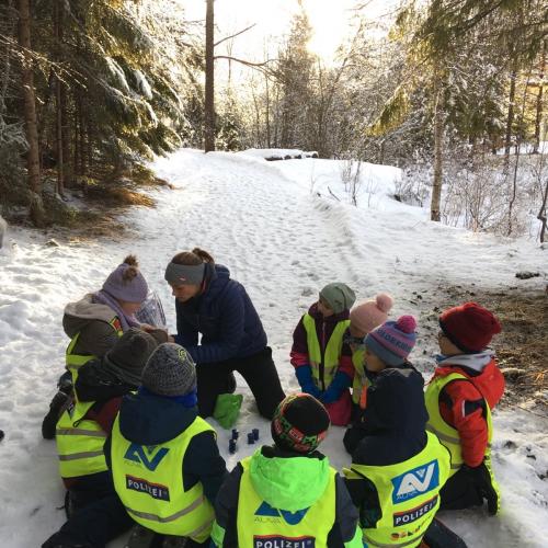 Spuren im Schnee 2025