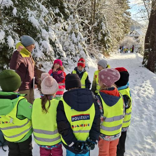 Spuren im Schnee 2025