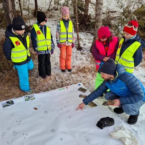 Spuren im Schnee 2025