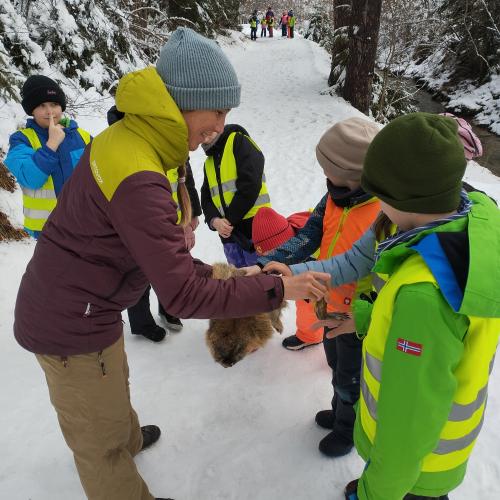 Spuren im Schnee 2025