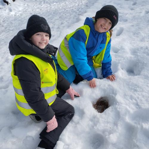 Spuren im Schnee 2025