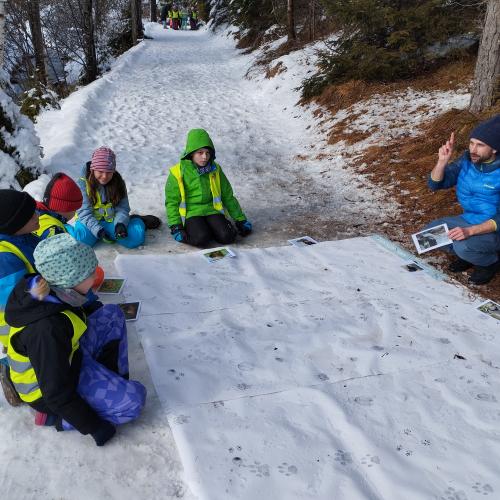 Spuren im Schnee 2025