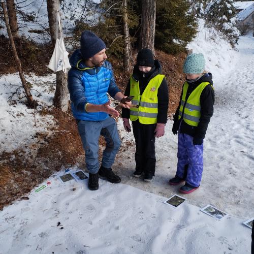 Spuren im Schnee 2025