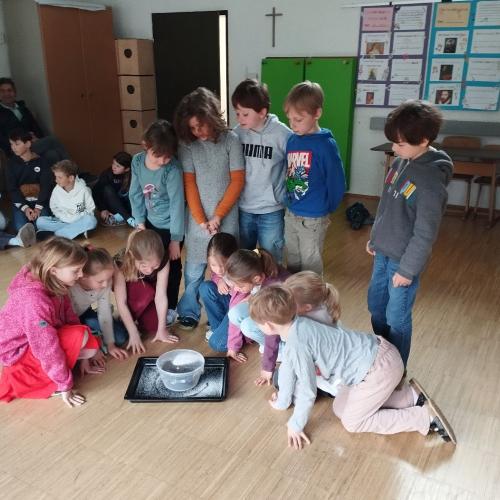 Forscherwoche 2025