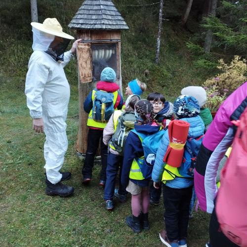 Lehrausgang Bienenlehrpfad 2025