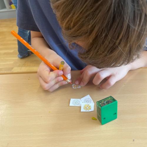 Ringelblumensalbe 2026