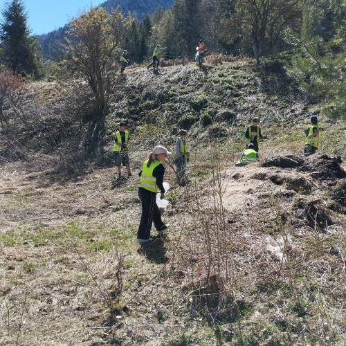 Cleanup Plateau Challenge 2026