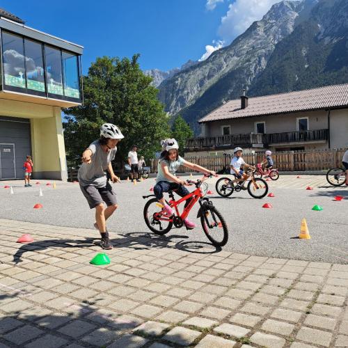 Fahrrad 2026