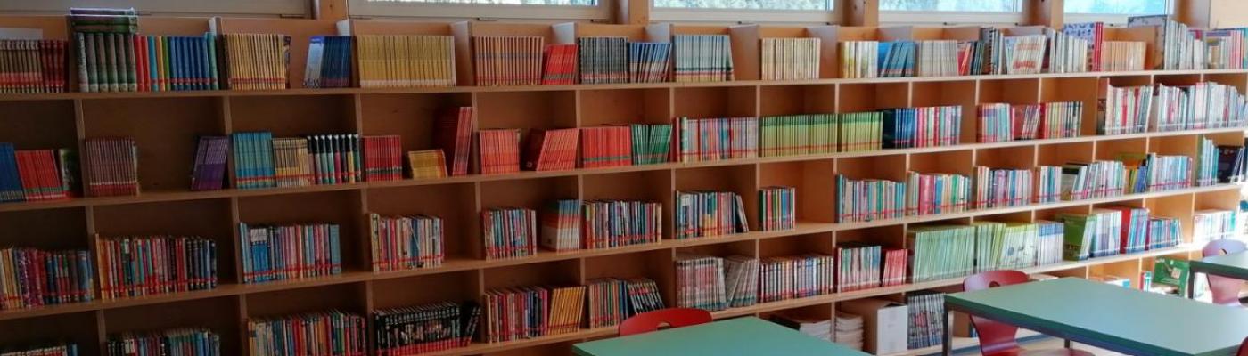 © VS Scharnitz Foto der Schulbibliothek