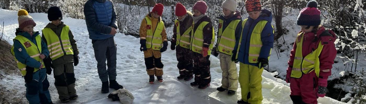 © VS Scharnitz Spuren im Schnee 2025
