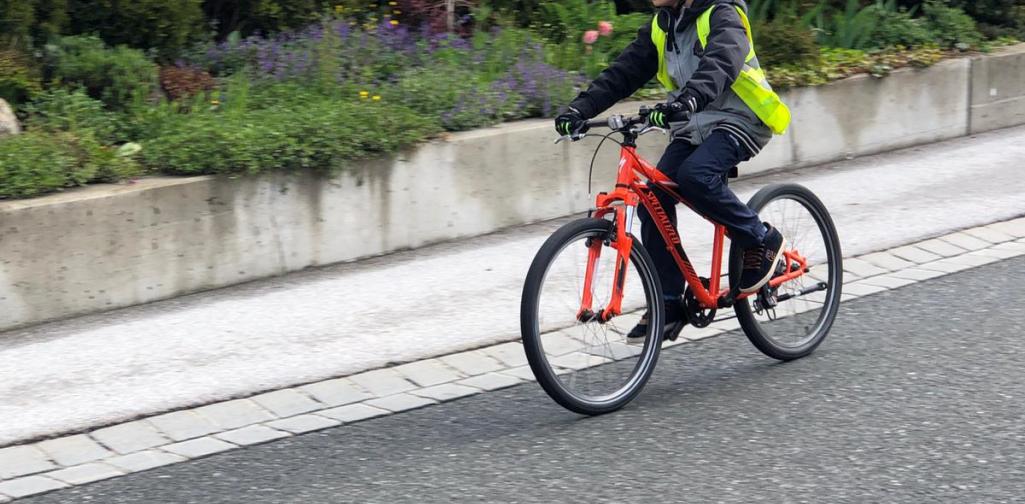 Foto der Fahrradprüfung Foto der Fahrradprüfung